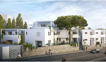 Montpellier programme immobilier neuve « Le Clos des Aloès »  (2)