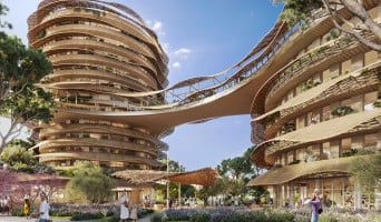 Montpellier programme immobilier neuf « Oasis