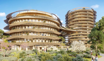 Montpellier programme immobilier neuve « Oasis »  (2)