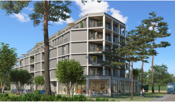 M&eacute;rignac programme immobilier r&eacute;nov&eacute; &laquo; Parc Mirepin &raquo; 