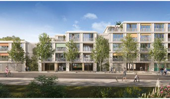 Blagnac programme immobilier neuve « Little Sunshine » en Loi Pinel  (3)