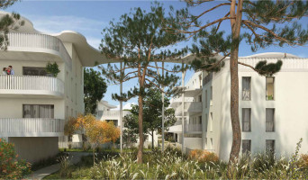 Narbonne programme immobilier neuve « Bella Mila »  (2)