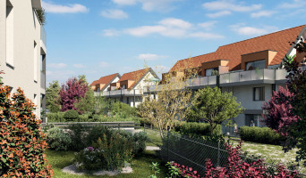 Turckheim programme immobilier neuf &laquo; Domaine du Veilleur &raquo; 