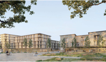 Nantes programme immobilier neuve « Matera » en Loi Pinel  (2)